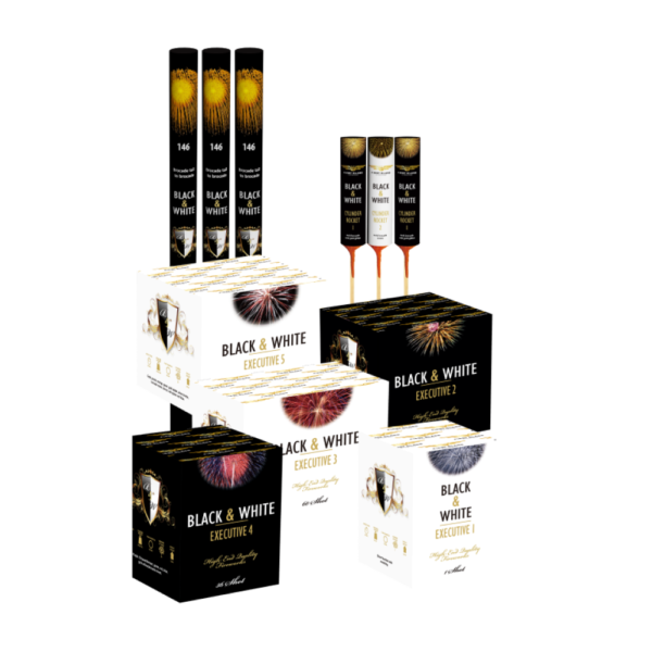 Excellence 2, Batteripakke